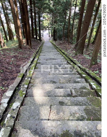 Slam dunk mecca, approach to Moriko Daimohi Shrine 105429009