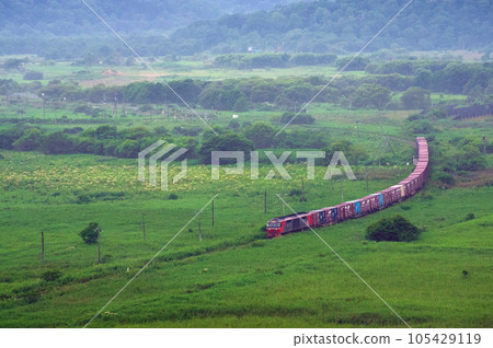 Freight train on the Nemuro Main Line 105429119