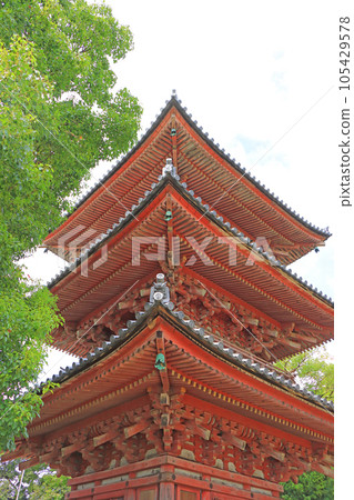 Ama City, scenery of Jimokuji three-storied pagoda 105429578