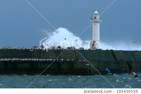 Storm lighthouse and flock of seabirds 105430538