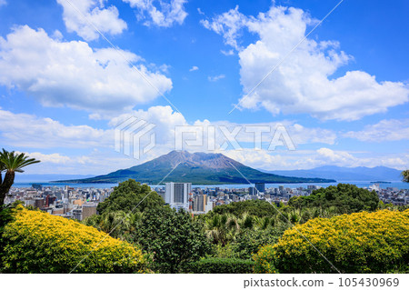 The streets of Sakurajima and Kagoshima city seen from the Nagashima Museum of Art The streets of Sakurajima and Kagoshima city seen from the Nagashima Museum of Art 105430969