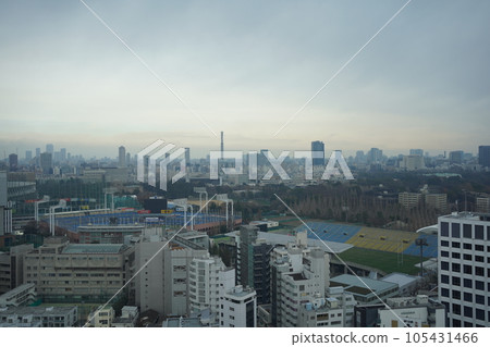 神宮外苑的風景 105431466