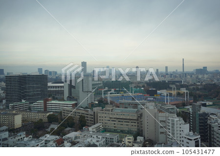 神宮外苑的風景 105431477