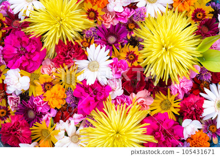 花背景素材 花水 105431671