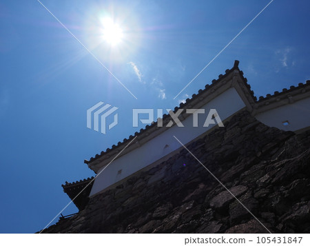 Fukuchiyama Castle Fukuchiyama Castle 105431847