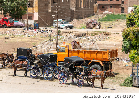 local Horse Carriage for tourists near the dock and the Horus Temple tour excursion local Horse Carriage for tourists near the dock and the Horus Temple tour excursion 105431954