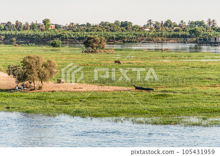 Panoramic view of fertile banks of Nile and everyday life during river cruise River near Luxor Egypt direction assuan 105431959