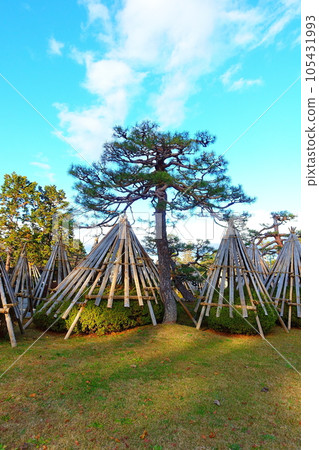 Uesugi Hakushakutei Snow Enclosure Winter Enclosure Snow Uesugi Hakushakutei Snow Enclosure Winter Enclosure Snow 105431993