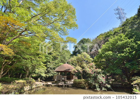Kawasaki-shi Miyamae-ku Higashi Takane Forest Park 105432015
