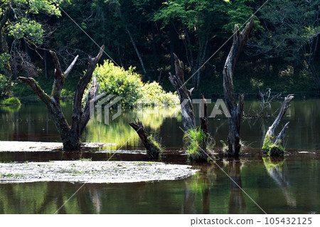 大藤川源頭慶明瀑布周邊的溪流風景 105432125