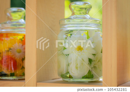 Colorful herbarium displayed on the shelf 105432281