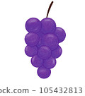 Grape  105432813