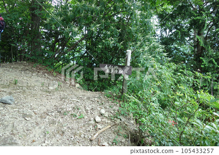 通往本田山的路標(從川則山交會處到組高山:東京都西多摩區奧多摩町) 通往本田山的路標(從川則山交會處到組高山:東京都西多摩區奧多摩町) 105433257