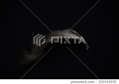 The beauty of dead leaves left by nature 105433976