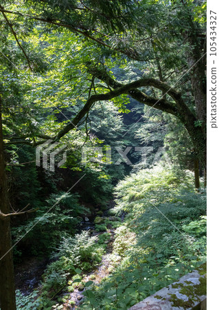 The clear stream of the Haruna River seen from the approach to Haruna Shrine 105434327