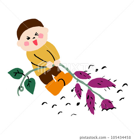child digging sweet potatoes child digging sweet potatoes 105434458