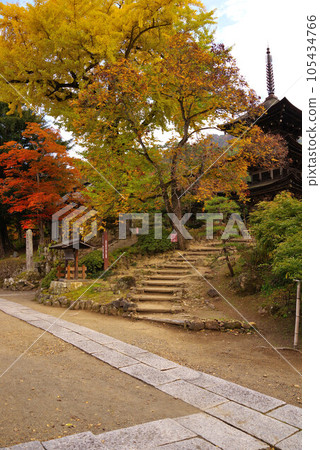 Maeyama Temple Autumn Leaves 105434766
