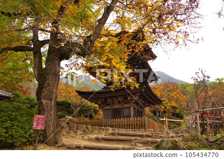 前山寺秋葉之靜美 105434770