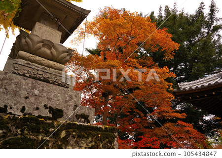 前山寺秋葉之靜美 105434847