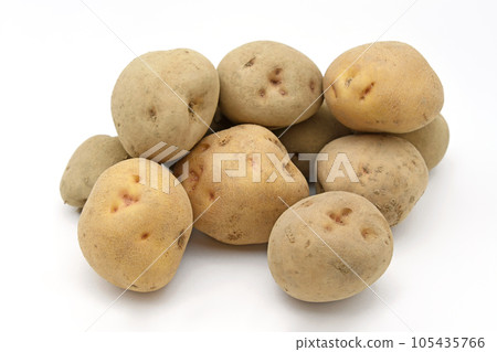 Potato (Kitakyari) 105435766