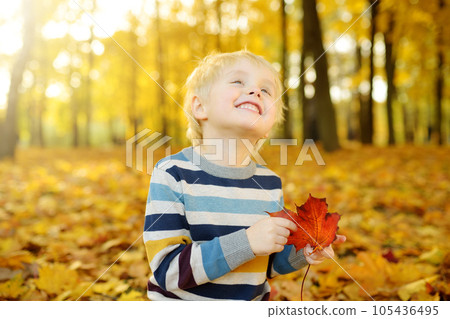 Close up portrait of happy little boy during stroll in the forest at sunny autumn day 105436495