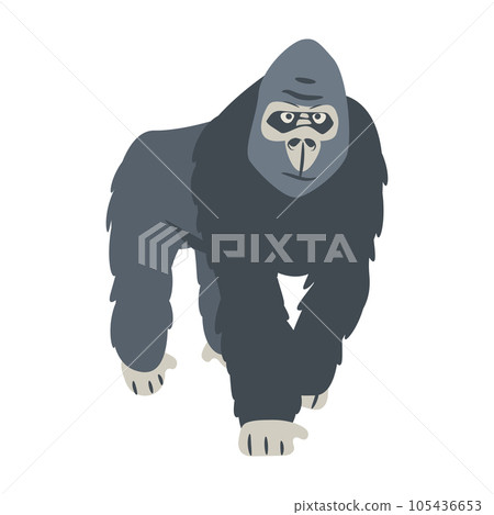 Big gorilla cartoon on white background. Orangutan monkey clipart 105436653