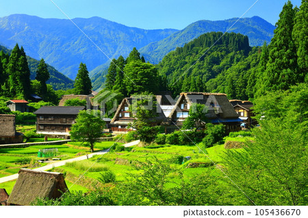 [Toyama Prefecture] View of the fresh green Gokayama Ainokura gassho village 105436670