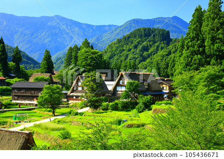 [富山縣] 鮮綠的五箇山相倉合掌村景色 105436671