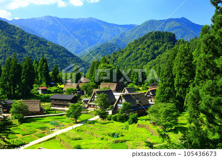 [Toyama Prefecture] View of the fresh green Gokayama Ainokura gassho village 105436673