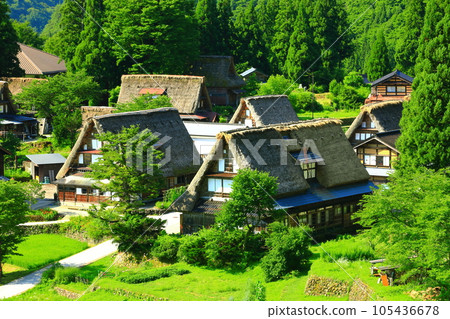 [富山縣] 鮮綠的五箇山相倉合掌村景色 105436678