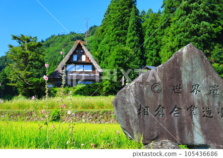[富山]新鮮的綠色五ka山愛倉合掌村 105436686