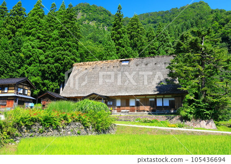 [Toyama] Fresh green Gokayama Aikura Gassho Village 105436694