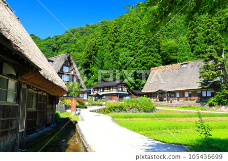 [Toyama] Fresh green Gokayama Aikura Gassho Village 105436699
