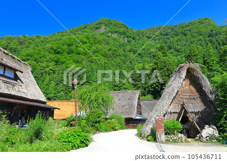 [富山]新鮮的綠色五ka山愛倉合掌村 105436711
