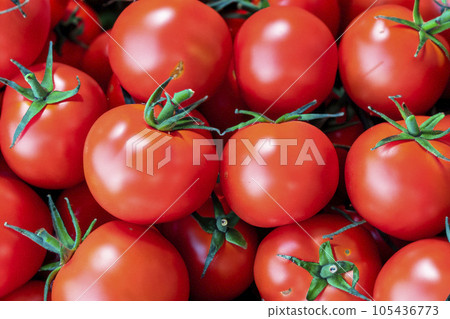 Tomatoes. Set of tomatoes. Set of Cherry Tomatoes. Red and green tomatoes in the garden. Pile on top of each other. Texture. Possible cause of salmonella in Europe with hundreds of cases. Tomatoes. Set of tomatoes. Set of Cherry Tomatoes. Red and green tomatoes in the garden. Pile on top of each other. Texture. Possible cause of salmonella in Europe with hundreds of cases. 105436773