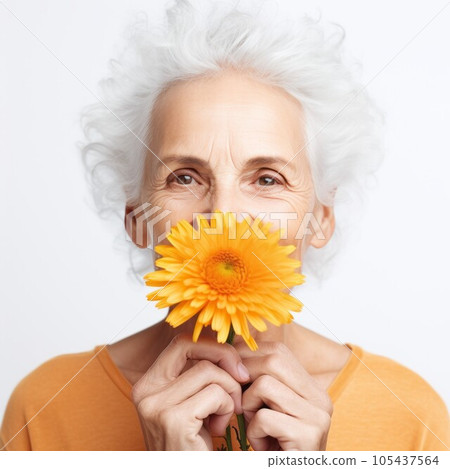 Portrait of a smiling elderly woman with an orange gerbera in her hand. Happy elderly woman in a studio with a single yellow flower. Beautiful smiling woman with a tender gerbera on a grey background. Portrait of a smiling elderly woman with an orange gerbera in her hand. Happy elderly woman in a studio with a single yellow flower. Beautiful smiling woman with a tender gerbera on a grey background. 105437564