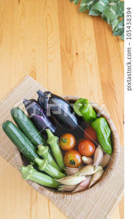 Image of summer vegetables ・Put water in a wooden bucket and add vegetables | Cucumbers, eggplants, green peppers, mini tomatoes, okra, ginger Image of summer vegetables ・Put water in a wooden bucket and add vegetables | Cucumbers, eggplants, green peppers, mini tomatoes, okra, ginger 105438394