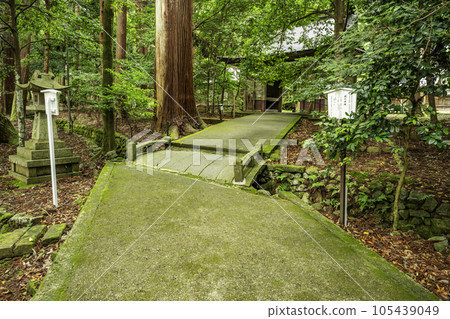 小濱若狹彥神社 新橋 福井縣小濱市 小濱若狹彥神社 新橋 福井縣小濱市 105439049