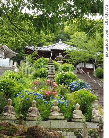 Shikoku Sacred Site No. 68, Jinkeiin [Kannonji City, Kagawa Prefecture] 2 105439372