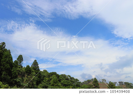 多雲的天空樹木 多雲的天空樹木 105439408