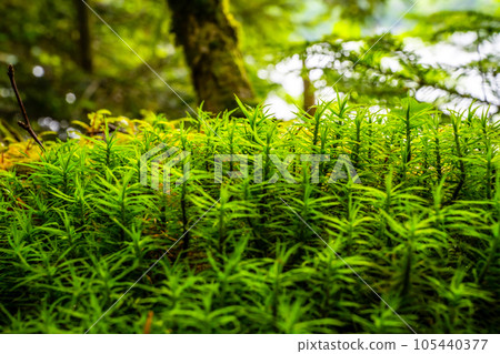 旅遊風景照片集 旅遊風景照片集 105440377