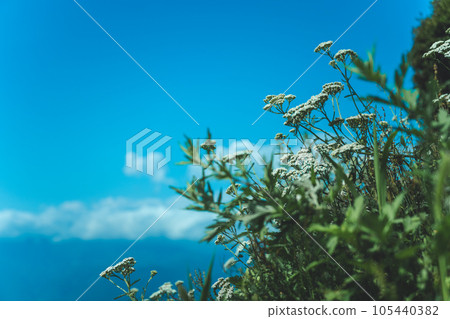 Travel landscape photo collection Travel landscape photo collection 105440382