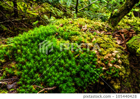 Travel landscape photo collection Travel landscape photo collection 105440428