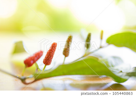 Hihatsu fruit 105440863
