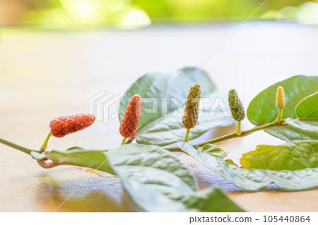 Hihatsu fruit Hihatsu fruit 105440864