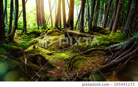 Travel landscape photo collection 105441215