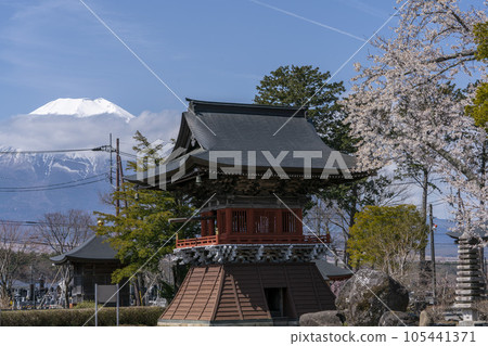 Temple bell tower, cherry blossoms and white Mt.Fuji, Oshino village Temple bell tower, cherry blossoms and white Mt.Fuji, Oshino village 105441371