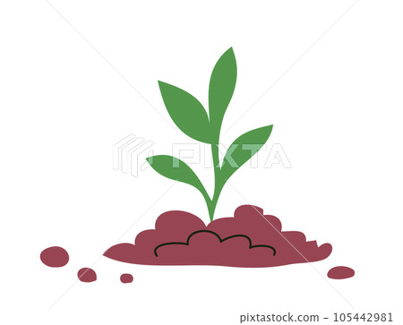 Young sprout of a green plant in the ground Young sprout of a green plant in the ground 105442981