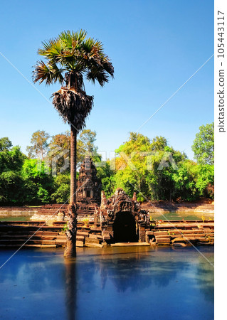Picture illustrating a tall palm tree growing from the muddy waters of the sacred lake, located in Cambodia. Picture illustrating a tall palm tree growing from the muddy waters of the sacred lake, located in Cambodia. 105443117