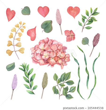 Set with hydrangea, greenery, abstract plants, lagurus spikelet and pink hearts. Bright clipart in autumn trendy colors. Watercolor illustration isolated on white background 105444538